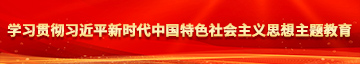 男操女鸡巴网页面站学习贯彻习近平新时代中国特色社会主义思想主题教育